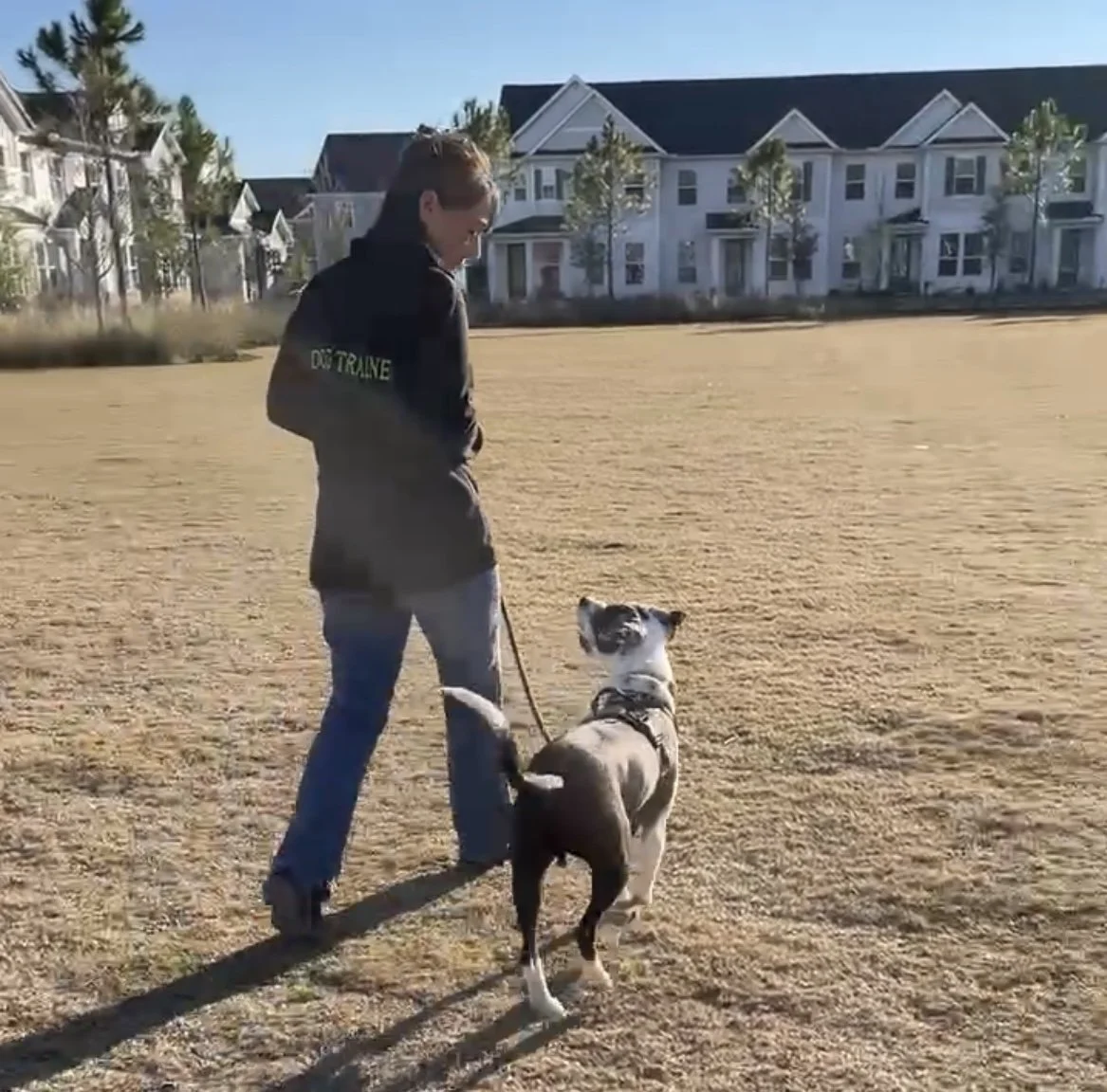 Maggie Marshall Dog Training — dog trainer in West Palm Beach, FL