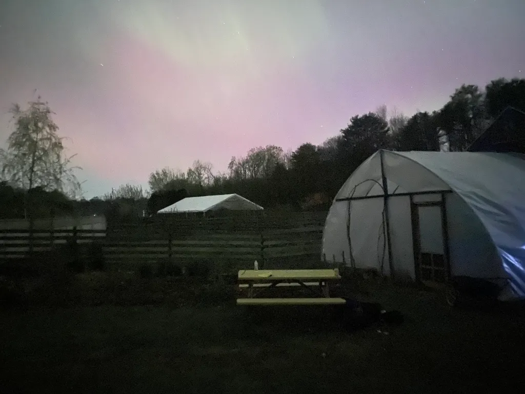 Whole Dog Camp at Bliss Woods Farm