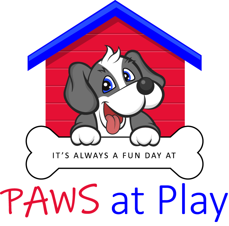 Paws at Play