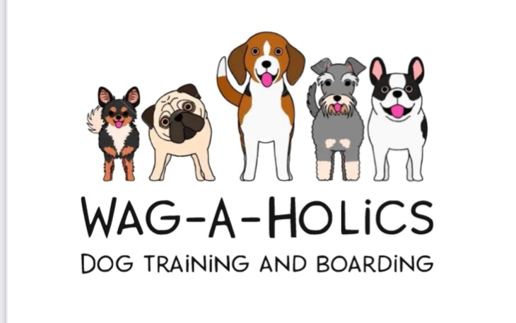 Wag-A-Holics — dog trainer in New Braunfels, TX