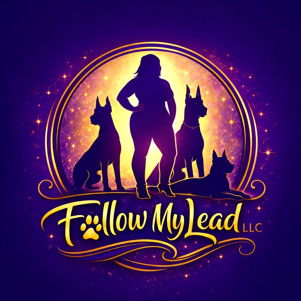 Follow My Lead