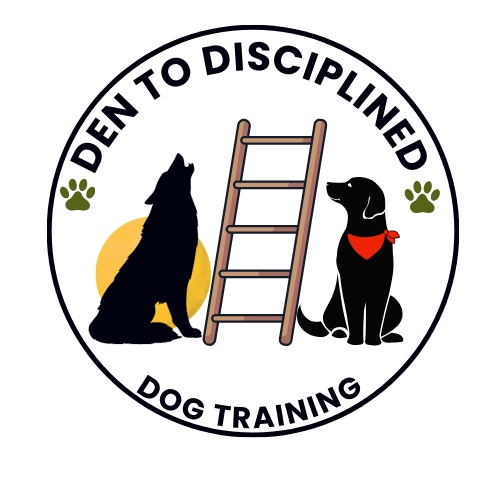 Den to Disciplined Dog Training