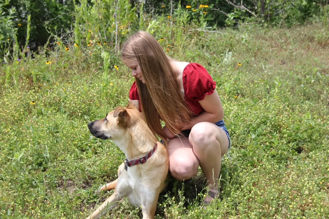 Nova K9 Academy — dog trainer in Irving, TX