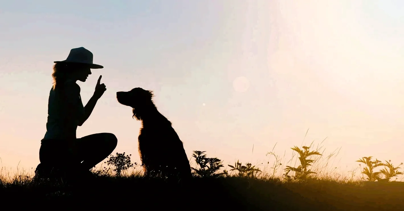 Alpine Dog VT, Nancy Poitras