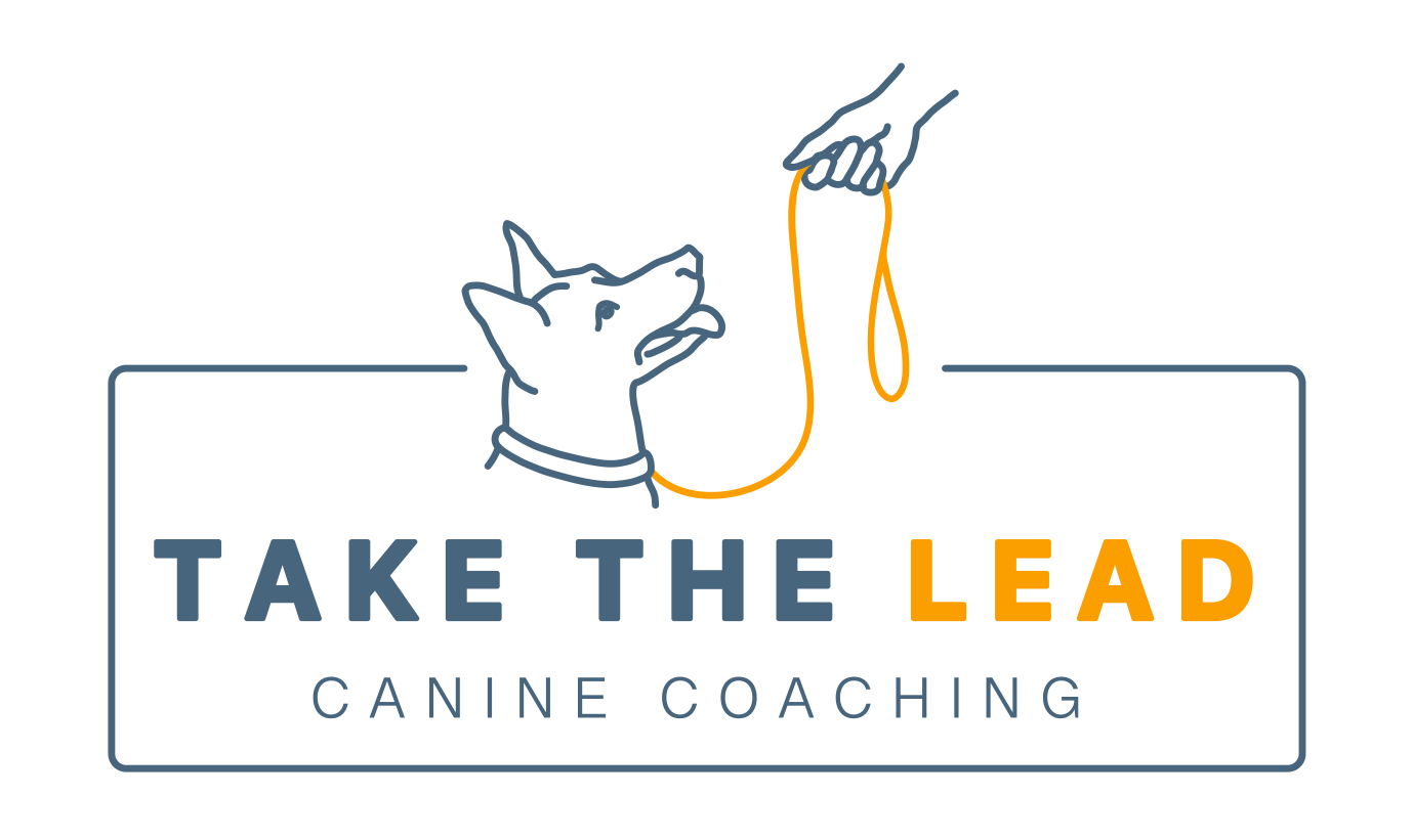 Take the Lead Canine Coaching