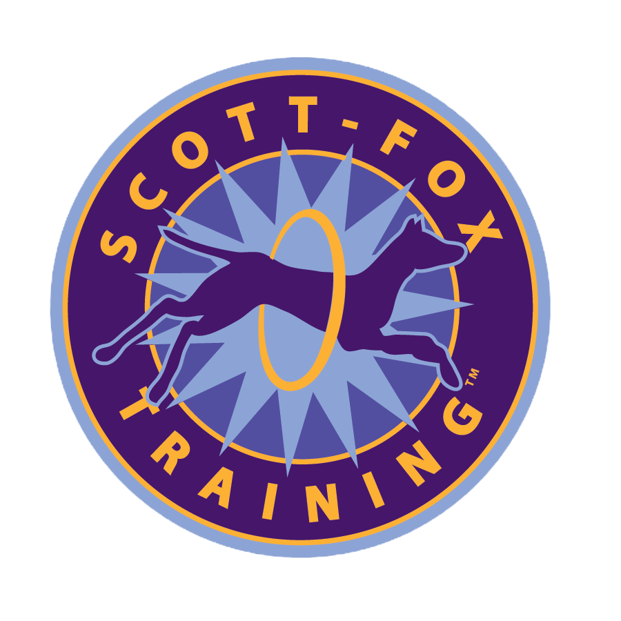 Scott-Fox Puppy Preschool
