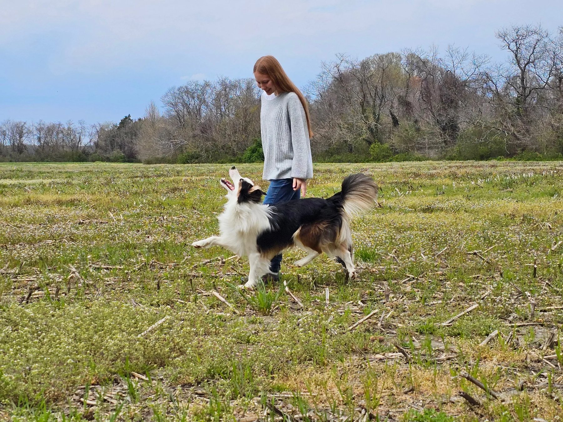 Ariel’s Canine Connection