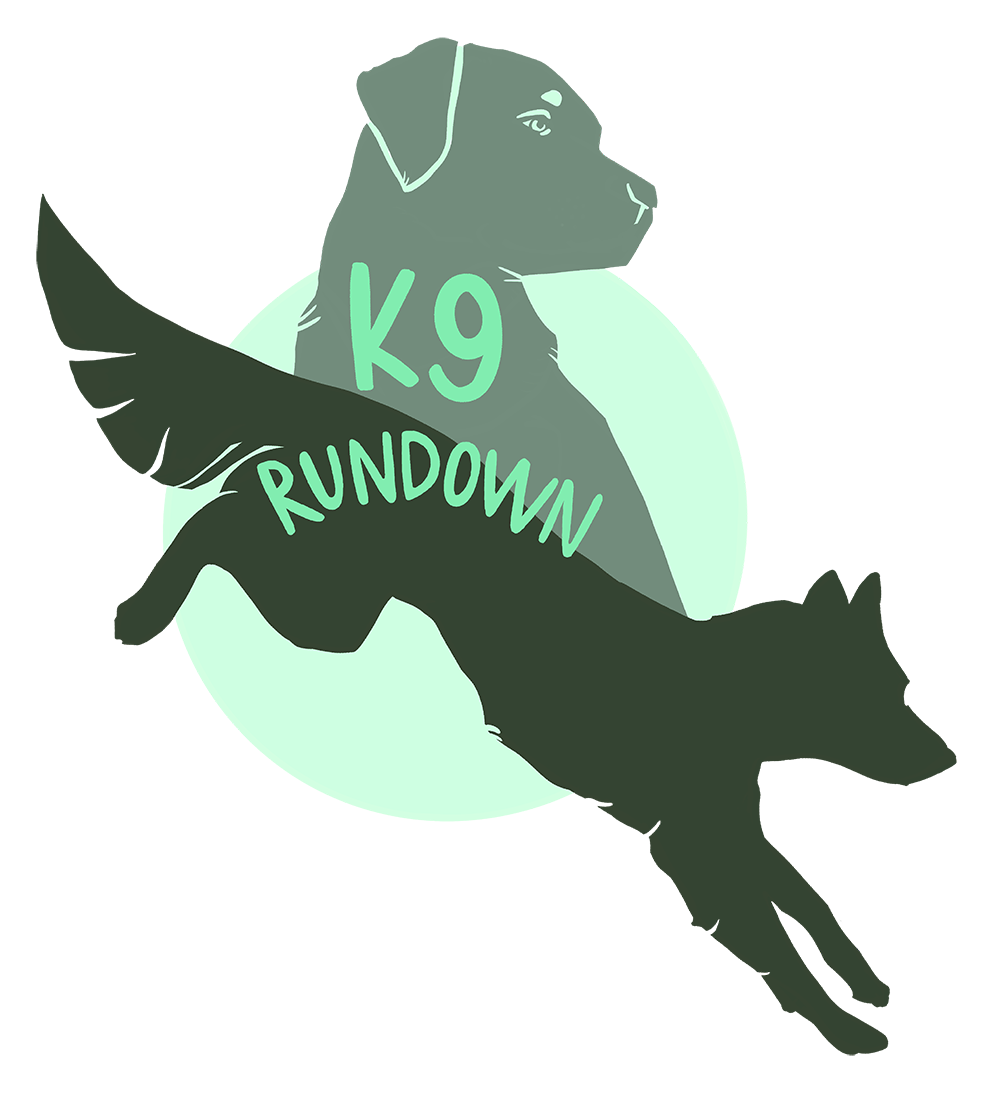 K9rundown Dog Training logo