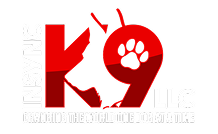 Insynck9 — dog trainer in Jacksonville, FL