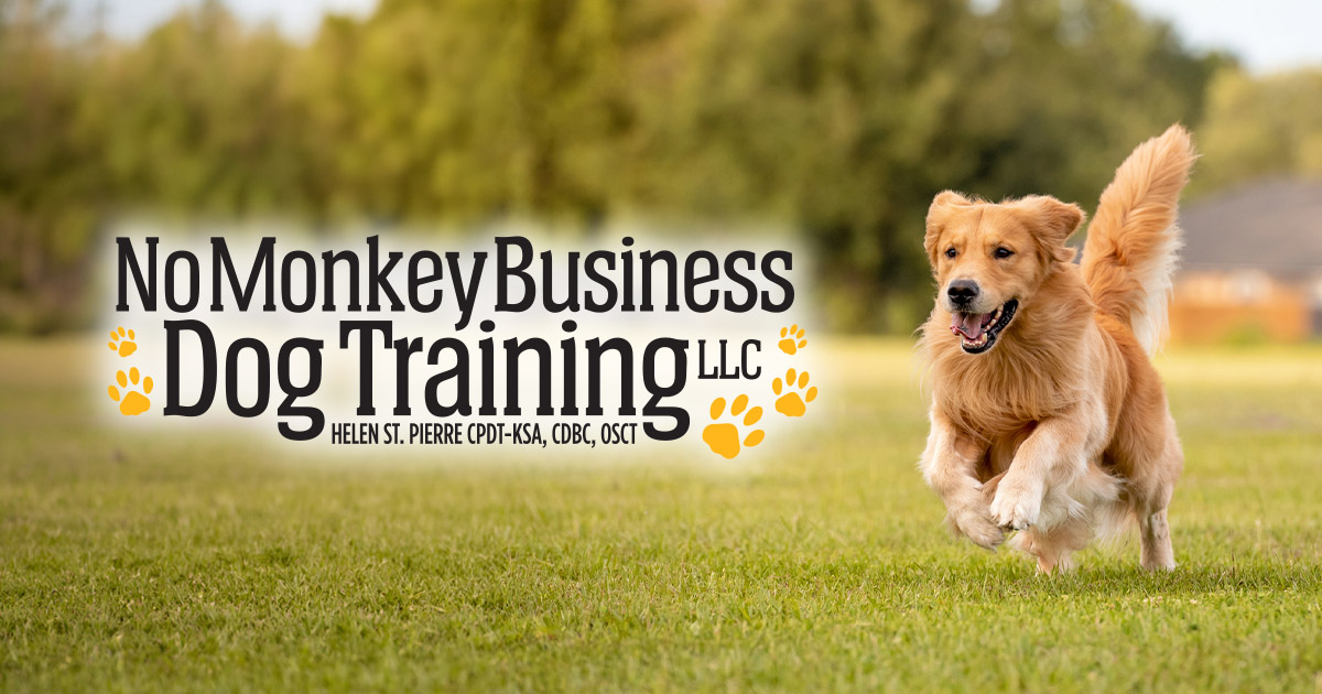 No Monkey Business Dog Training, LLC
