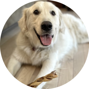 Aloha Pet Services, LLC.