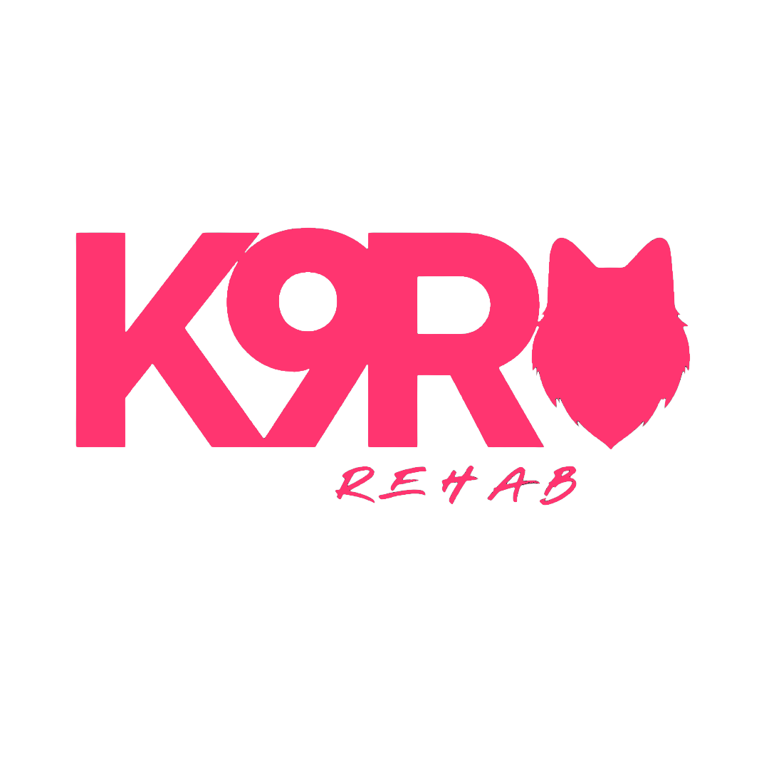 K9 REHAB LLC