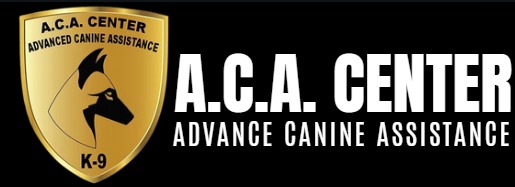 ACA CENTER Dog Training & Boarding — dog trainer in Miami, FL