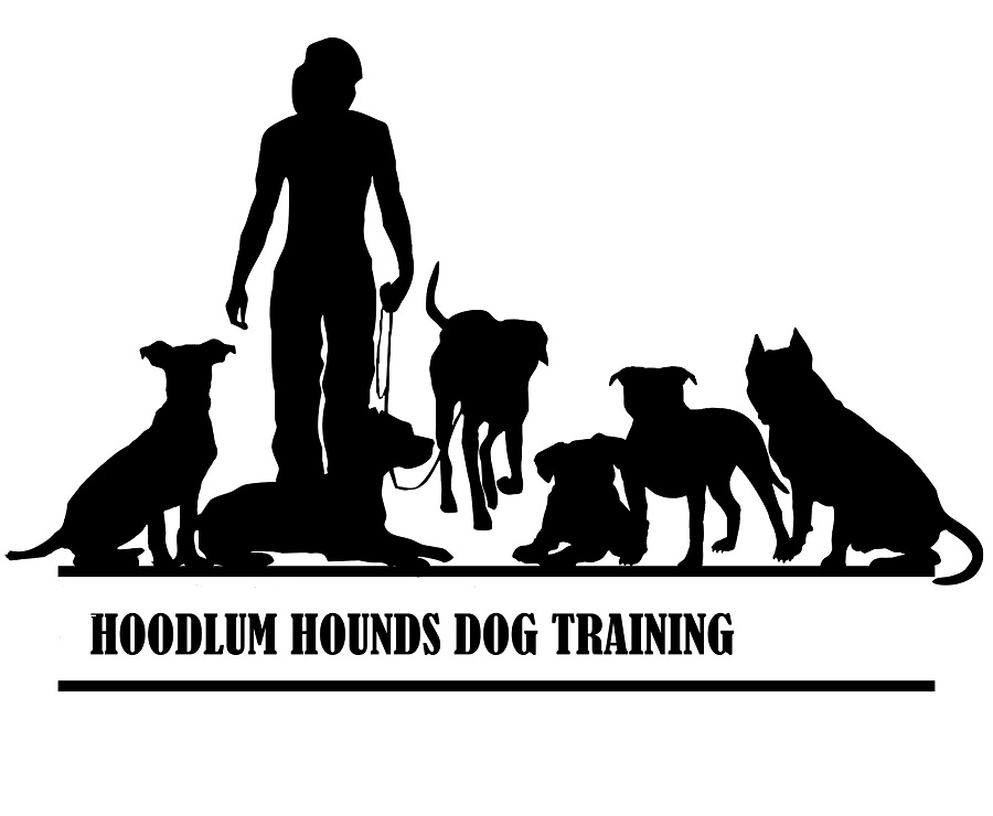 Hoodlum Hounds Dog Training — dog trainer in Plano, TX
