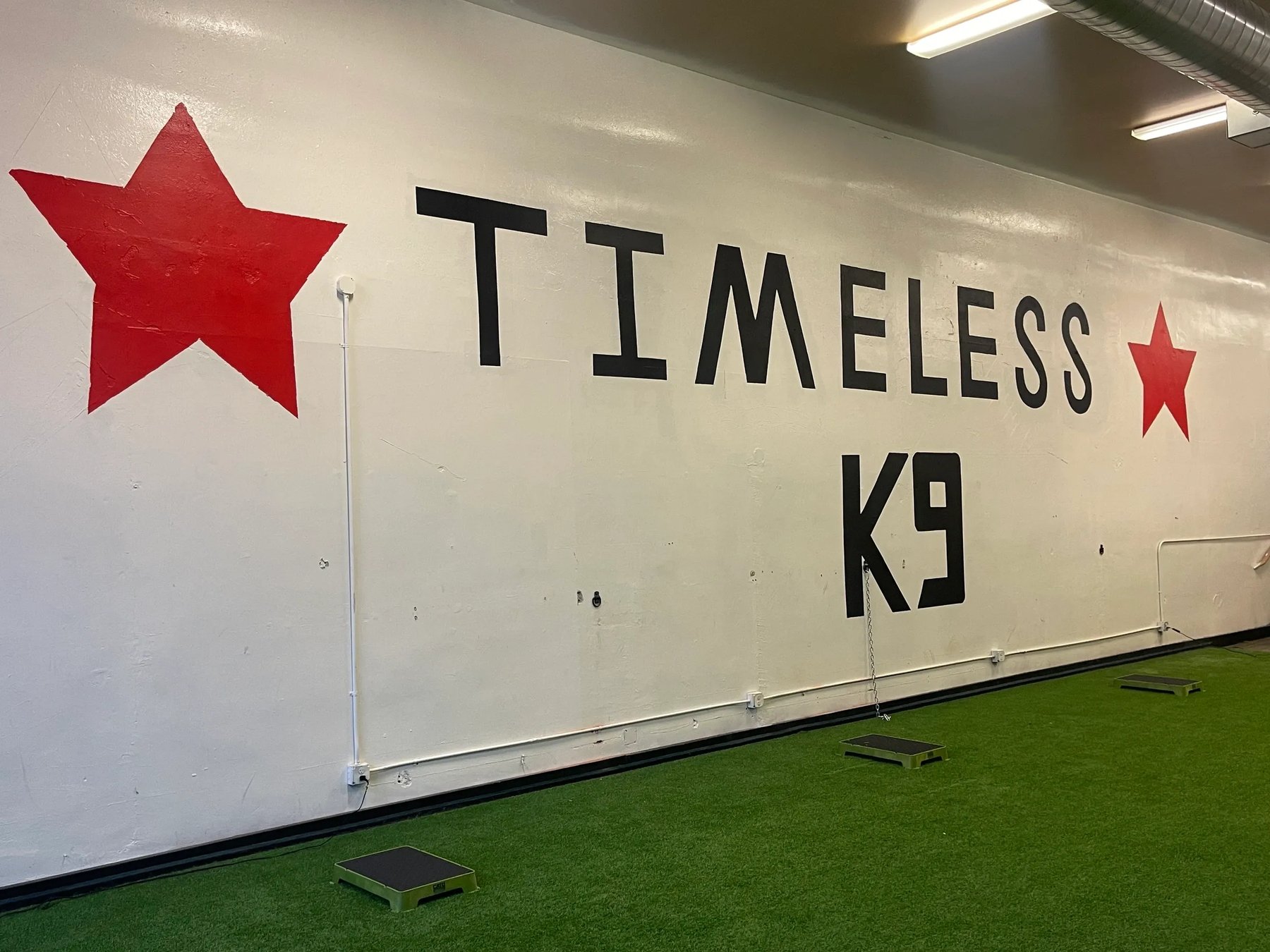 Timeless K9 Boarding And Training