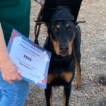 Alamo Dog Obedience Club, Inc — dog trainer in San Antonio, TX