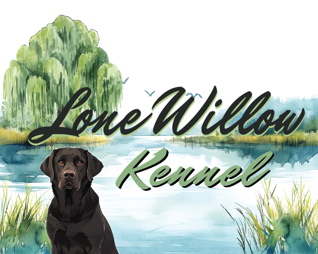 Lone Willow Kennel