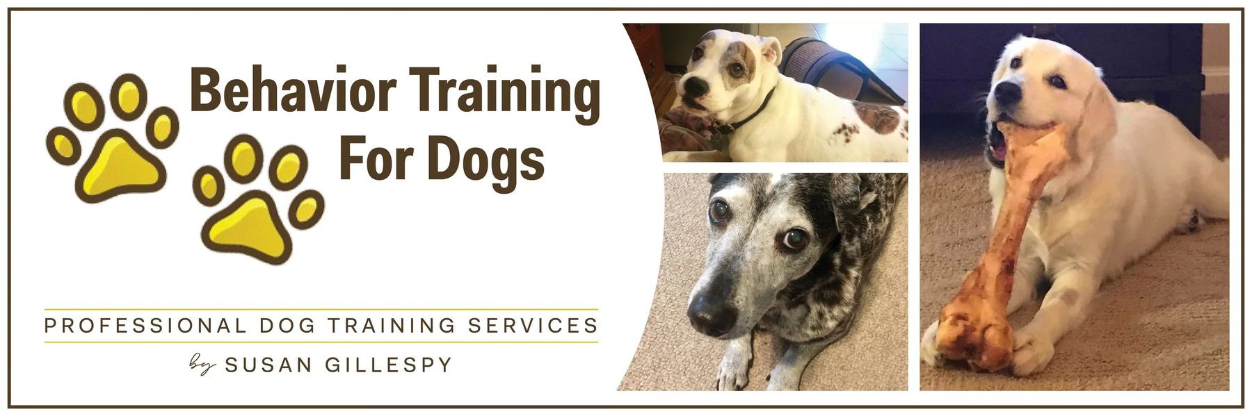 Behavior Training For Dogs