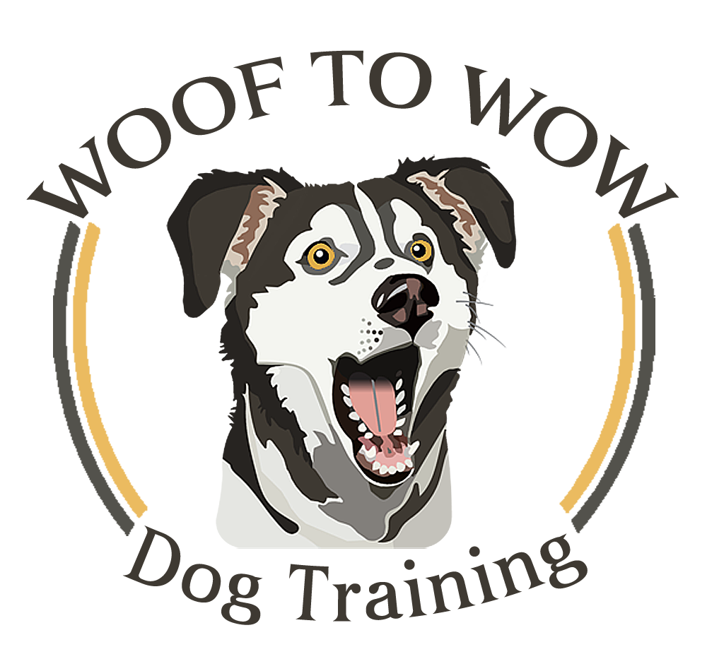Woof to Wow Dog Training logo