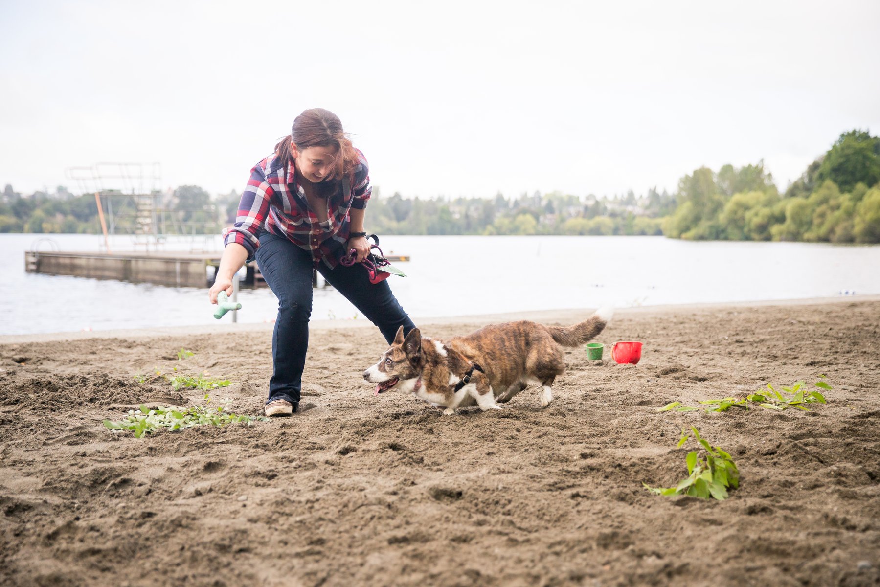 Cathy Madson Dog Training