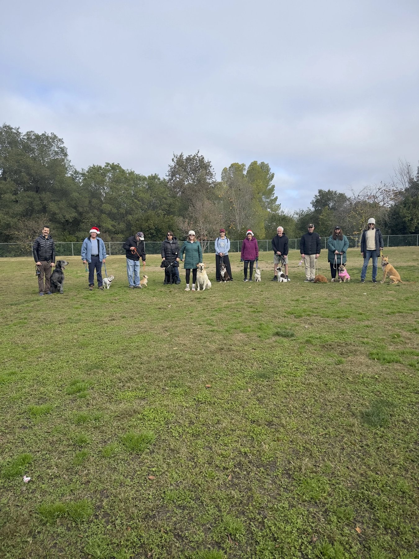 Great Pups Dog Training