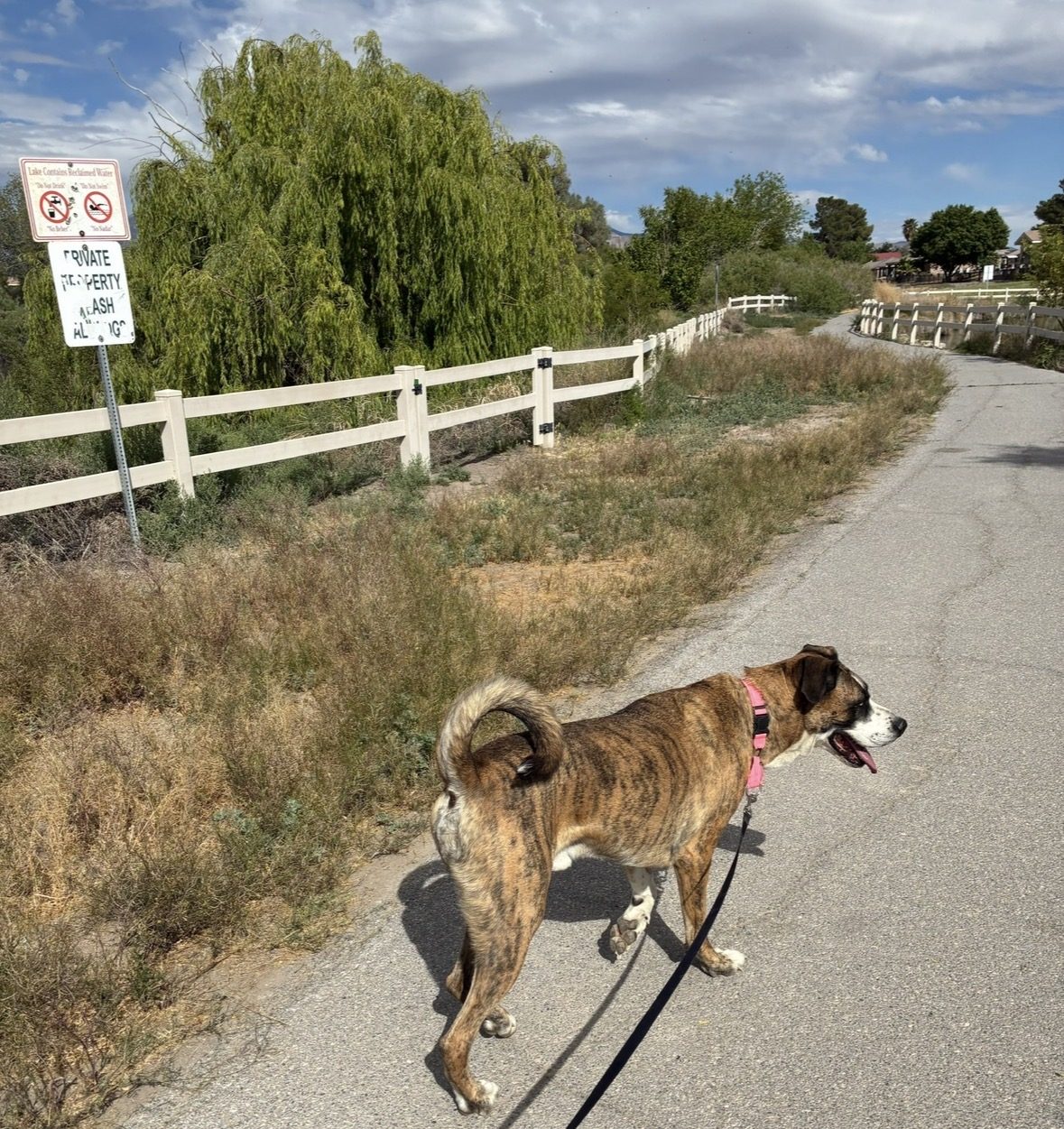 Paw-Rump Pet Services