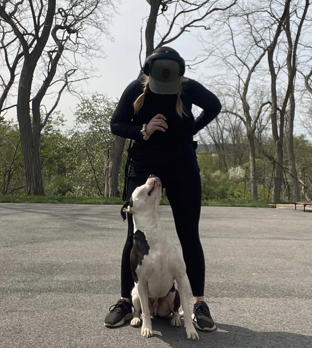 The Canine Classroom — dog trainer in Lynn, MA