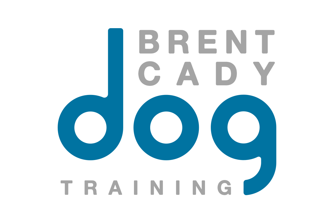 Brent Cady Dog Training