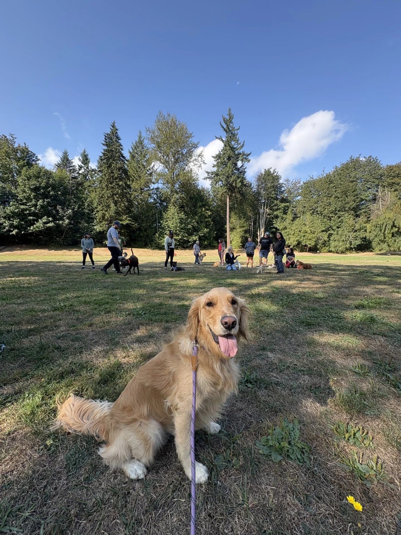 PNW Pack Leader LLC