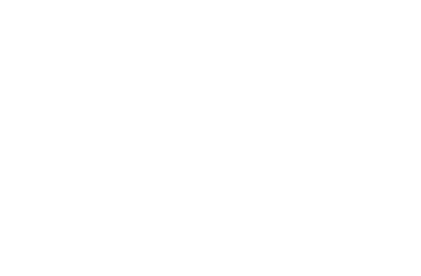 lone sage bird dogs llc logo