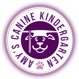 Amy’s Canine Kindergarten logo