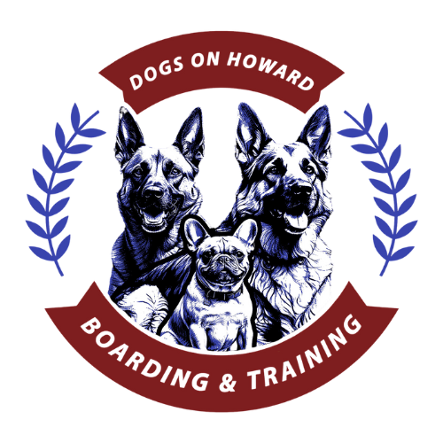 Dogs On Howard