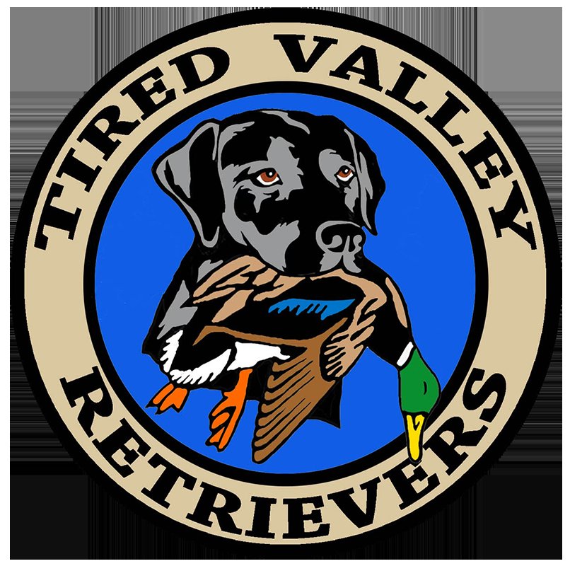 Tired Valley Retrievers