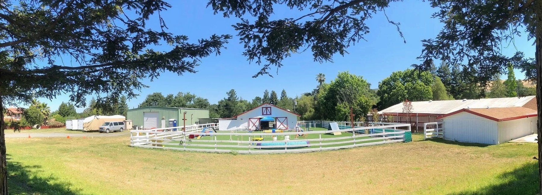 Star K9 Agility and Training — dog trainer in Walnut Creek, CA