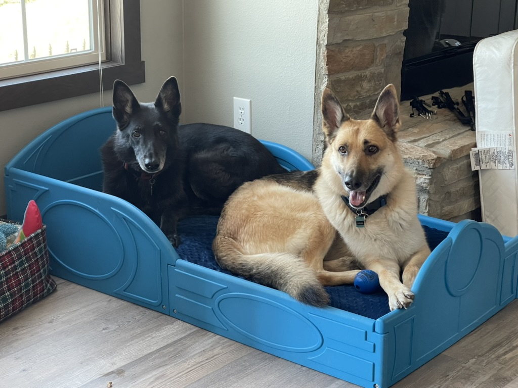 The K9 Experience — dog trainer in New Braunfels, TX