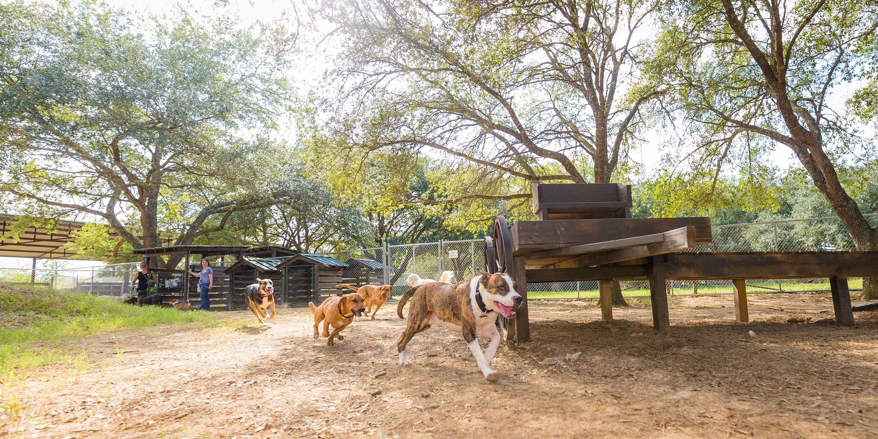 The Oaks Dog Ranch