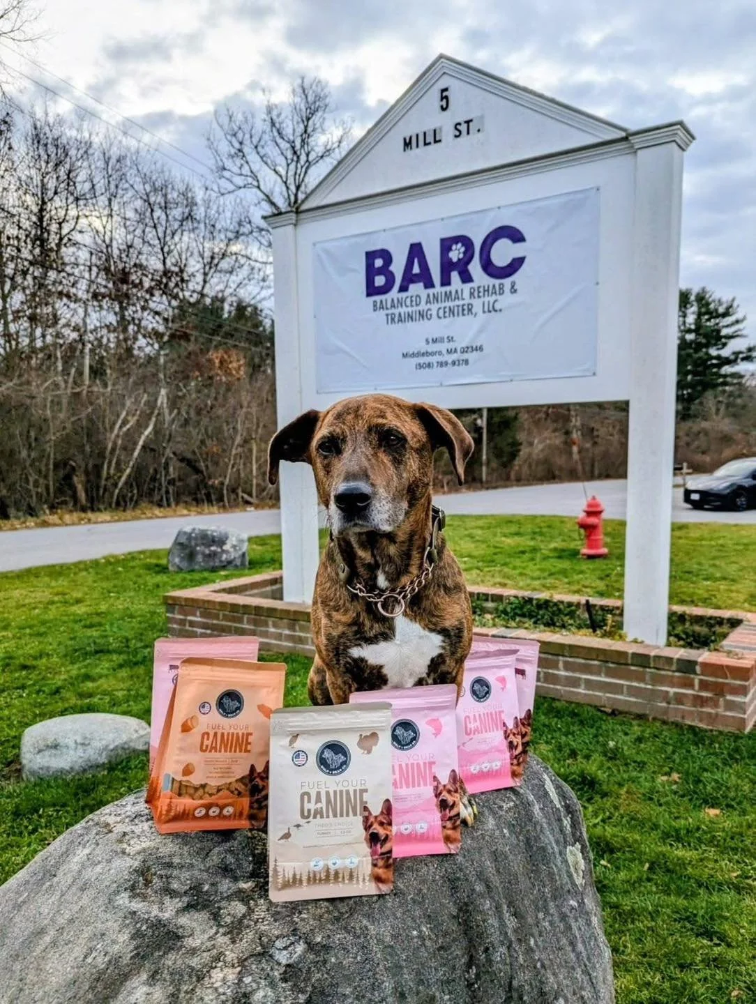 BARC