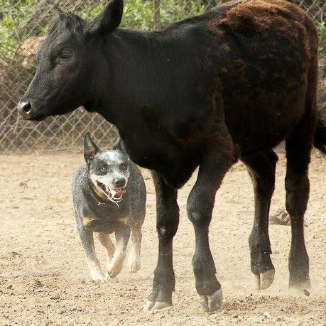 The Oaks Ranch