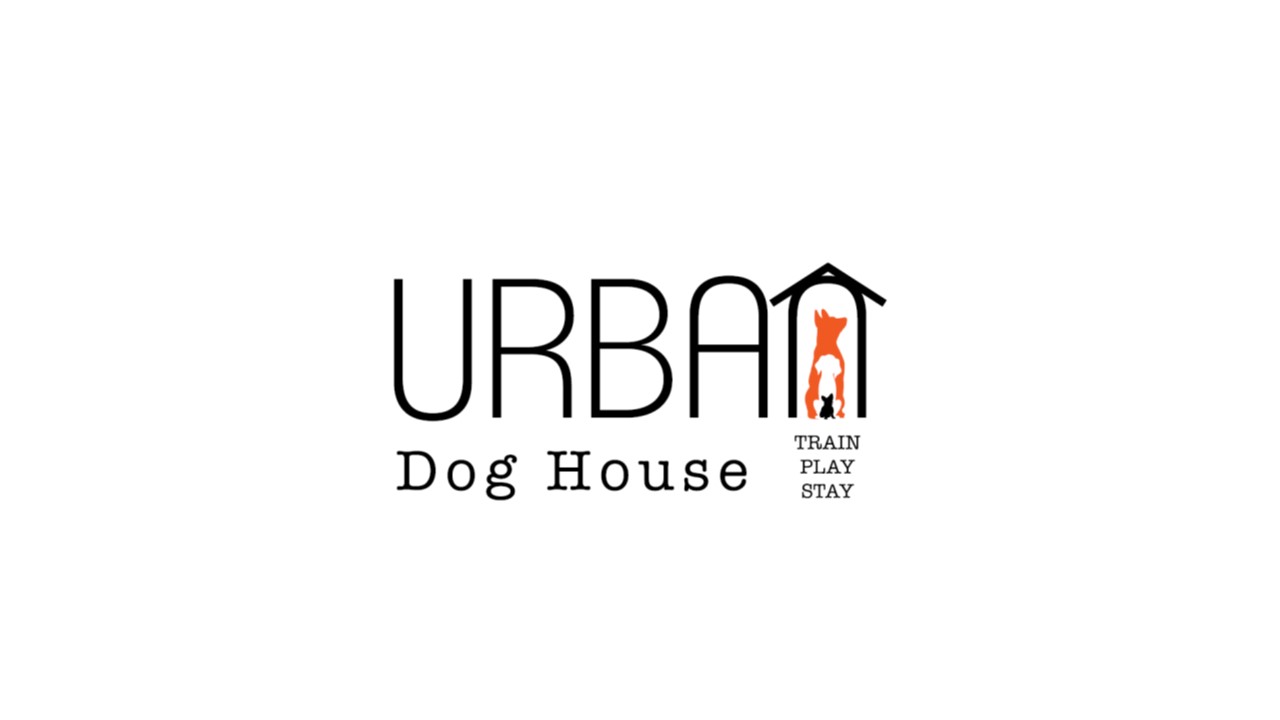 Urban Dog House