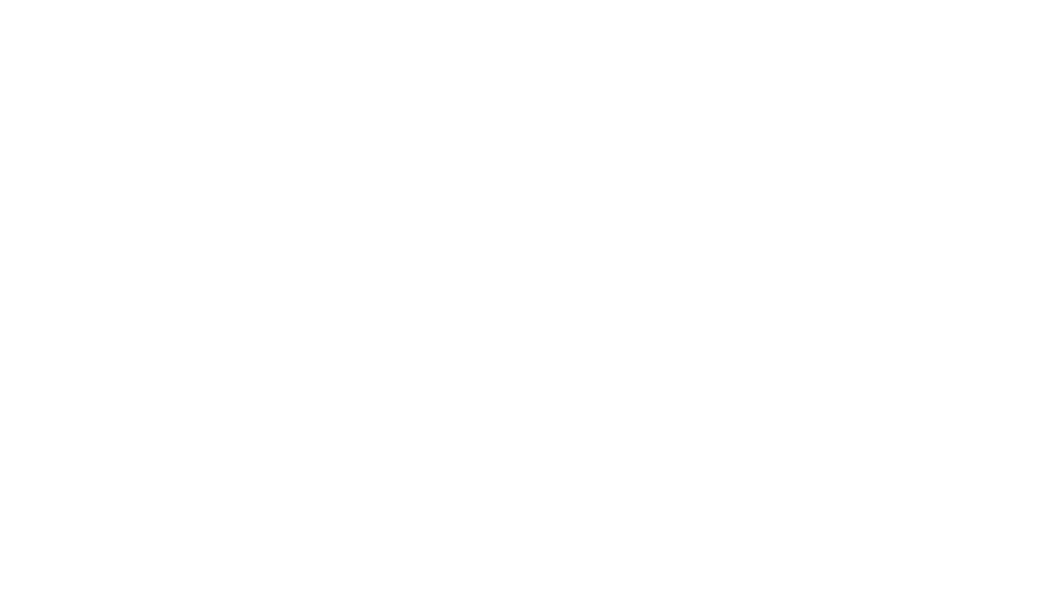 Valley Dog Sports LLC logo