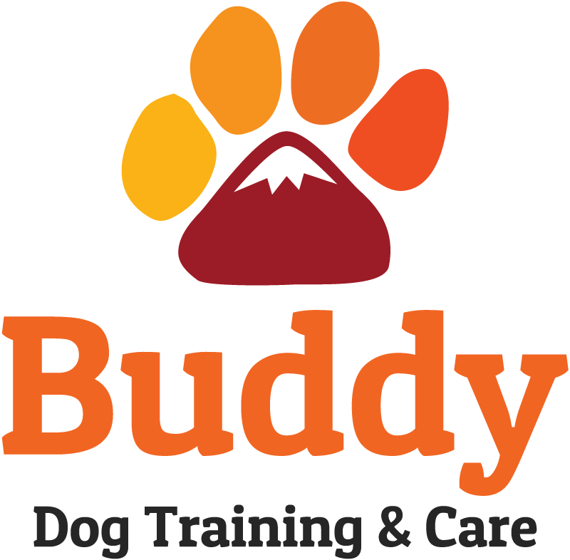 Buddy, Dog Training & Care
