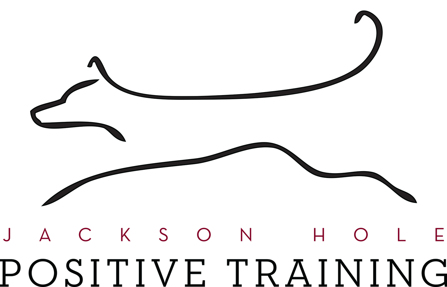 JH Positive Training logo