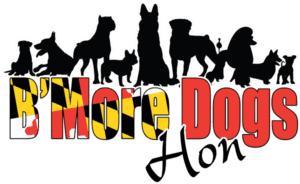 B'More Dogs Hon — dog trainer in Baltimore, MD