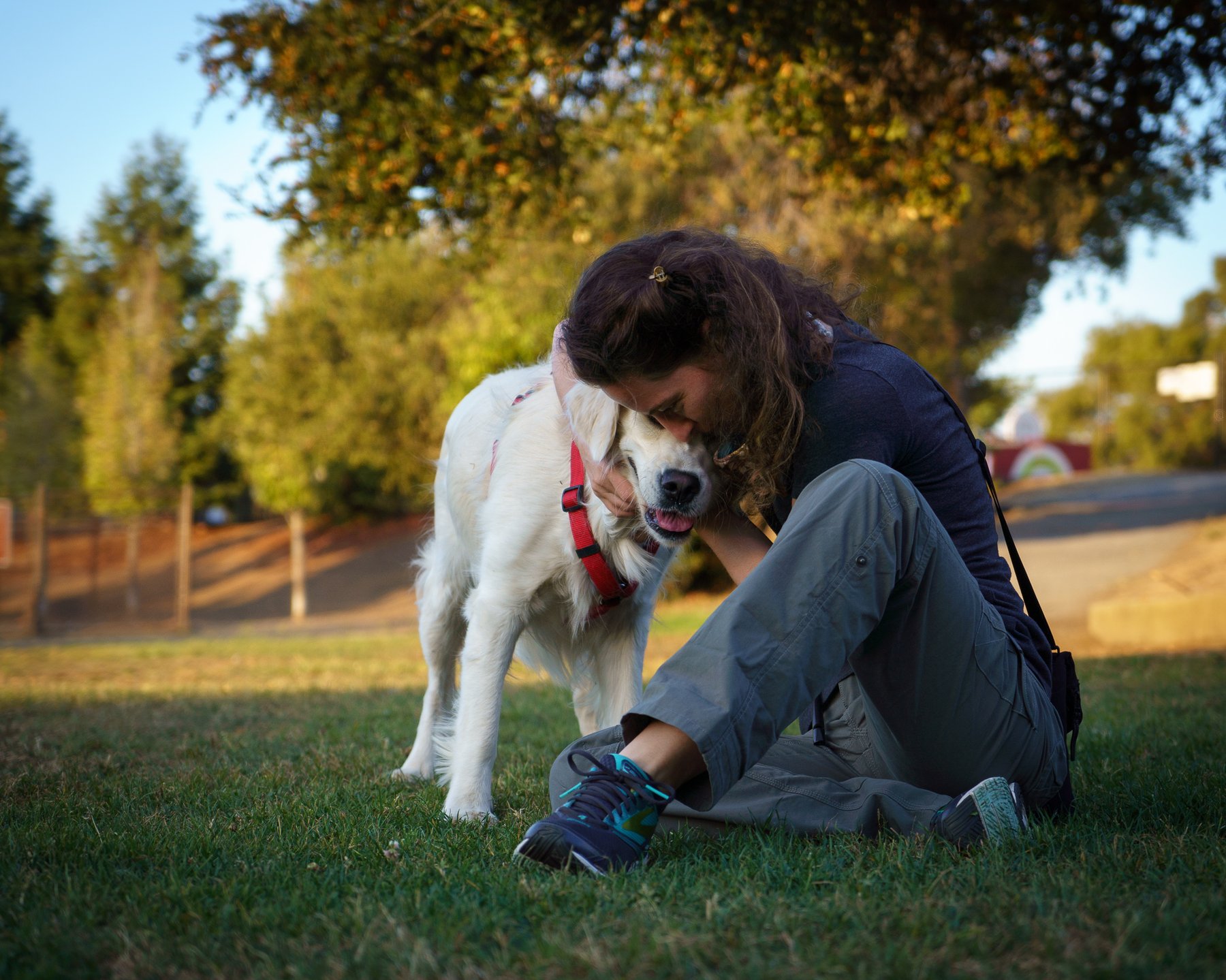 True Nature Dog Training