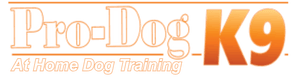 Pro-Dogk9 At-Home Training & Hidden Fences — dog trainer in Red Bank, NJ