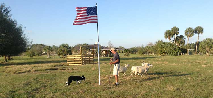Draxen Farms