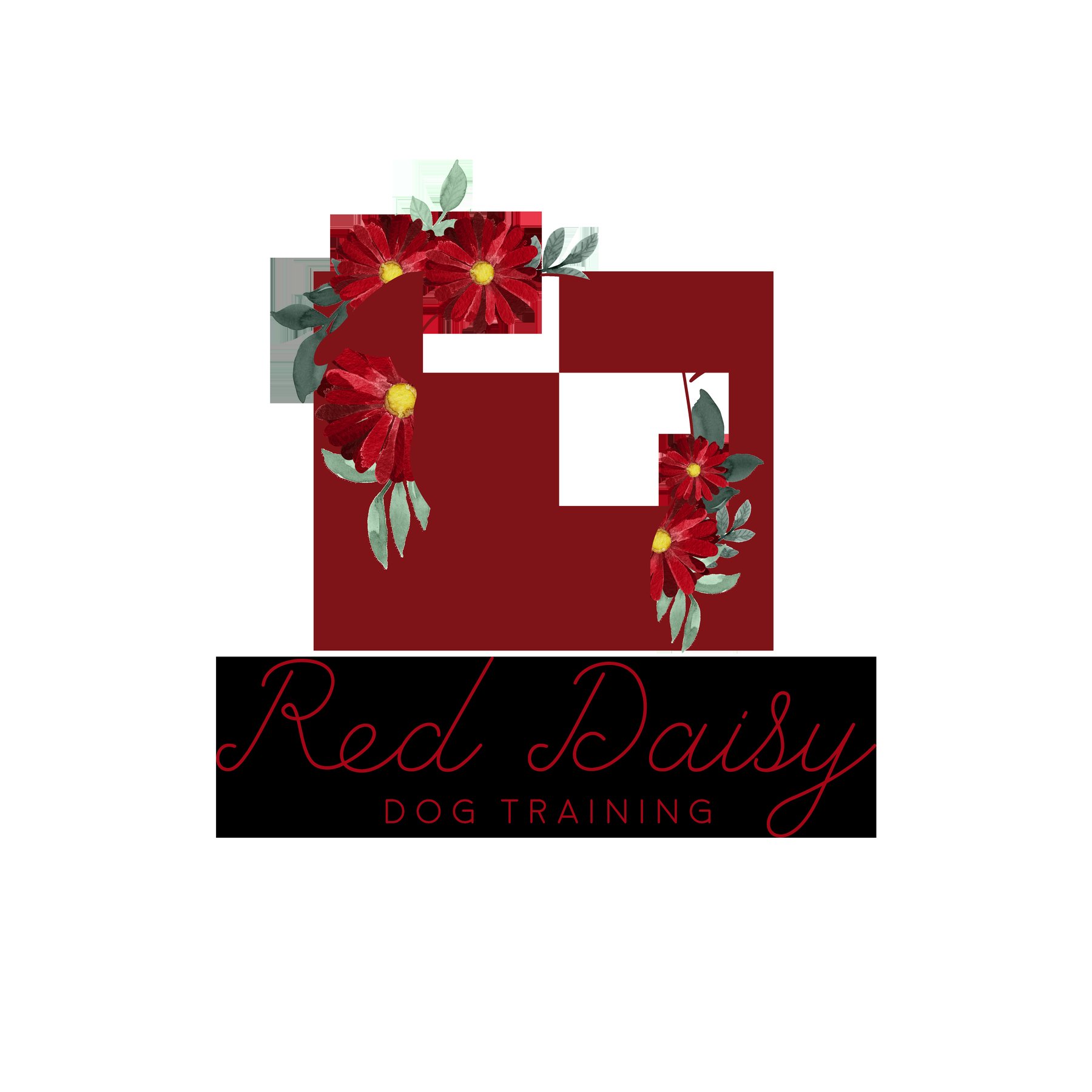 Red Daisy Dog Training