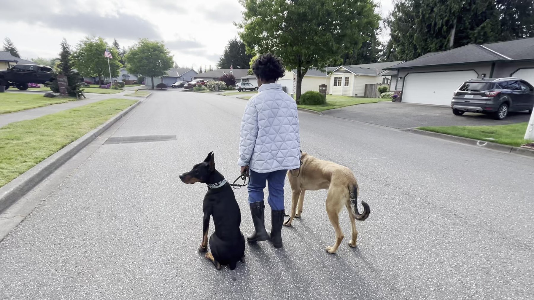 Timeless Tails Dog Training