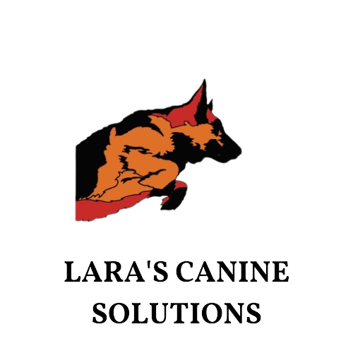 Lara’s Canine Solutions 2(San Marcos/ Wimberley) logo