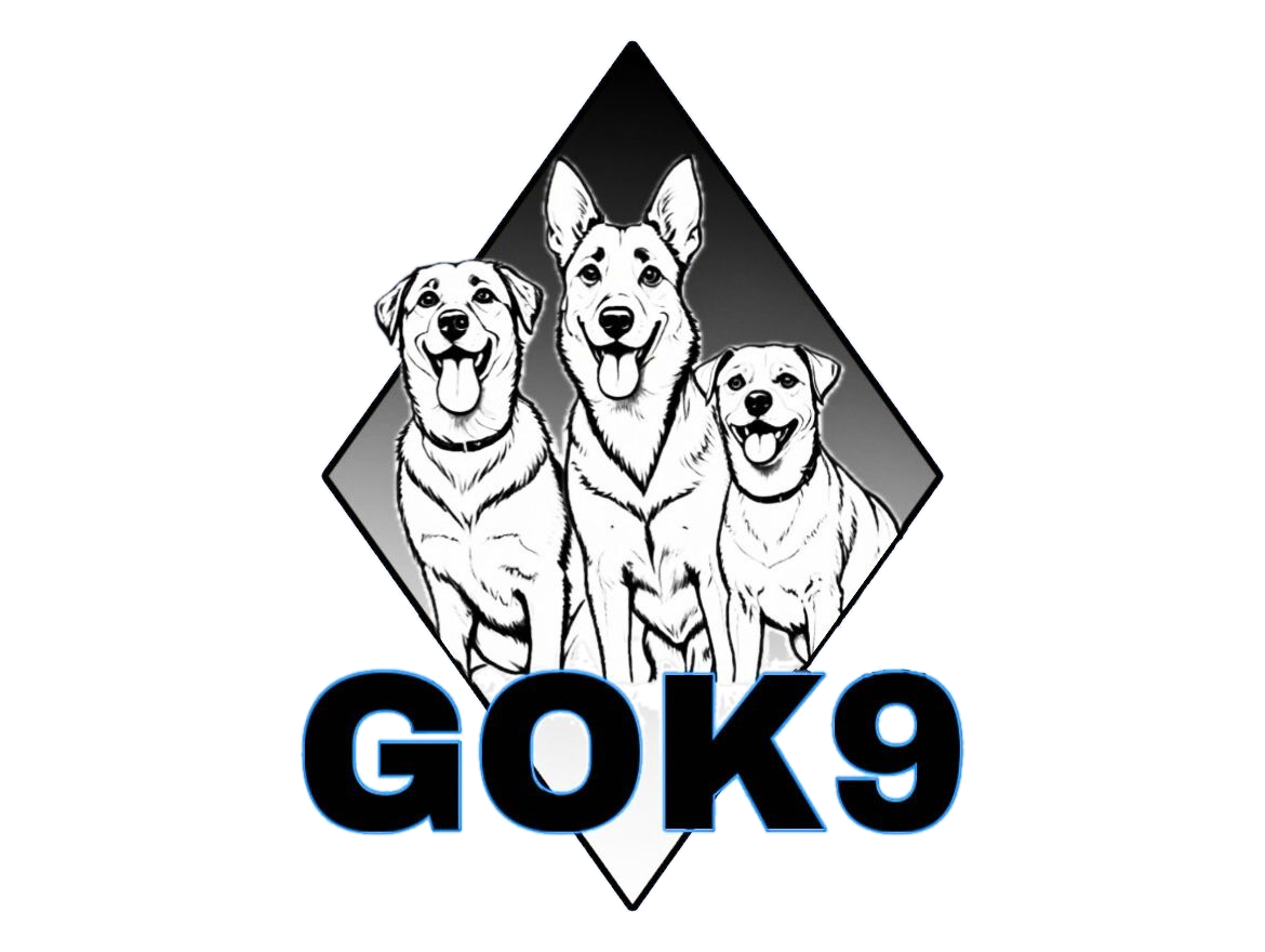 GOK9 inc